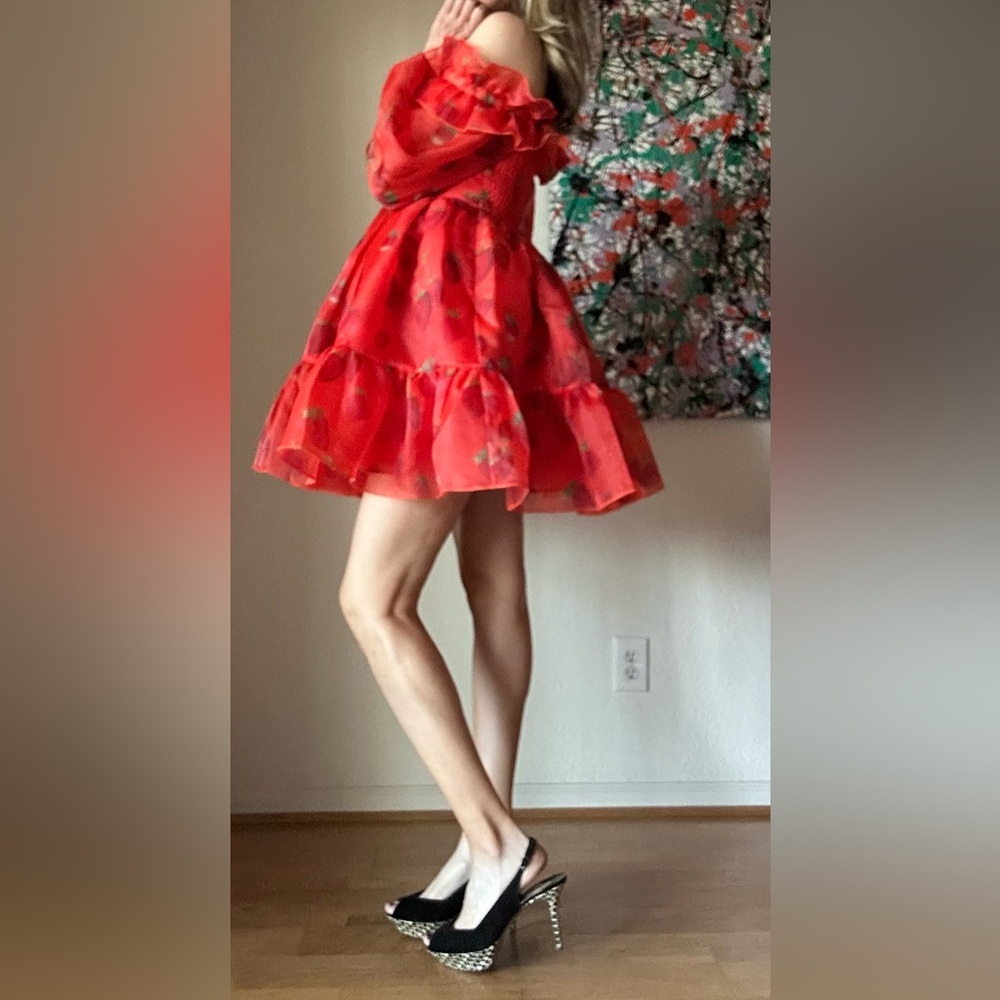 NWT Selkie Cherub Dress - Picture 2 of 11
